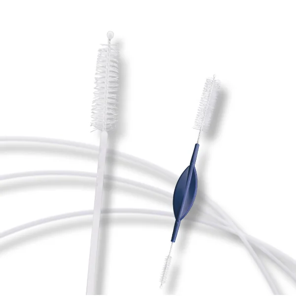 cleaning-brushes-jpg.webp